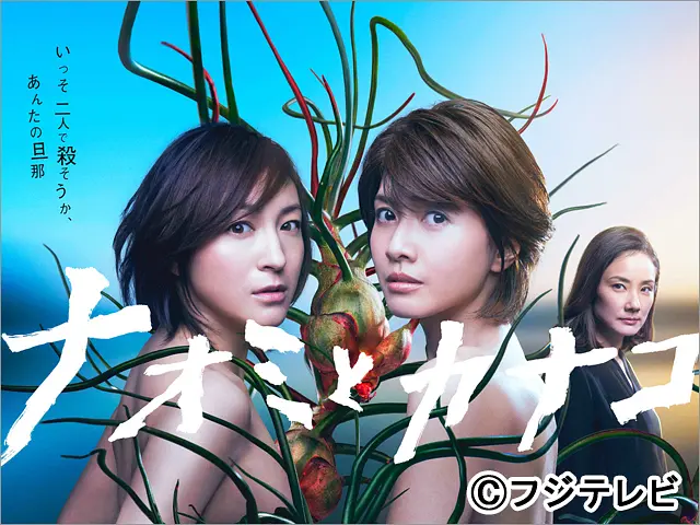 日剧《直美与加奈子》(2016)海报封面
