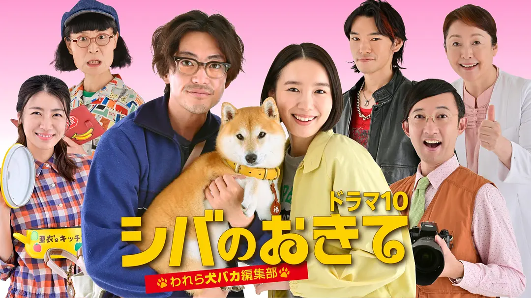 日剧《柴犬的规矩～我们这群狗痴编辑部～》(2025)海报封面