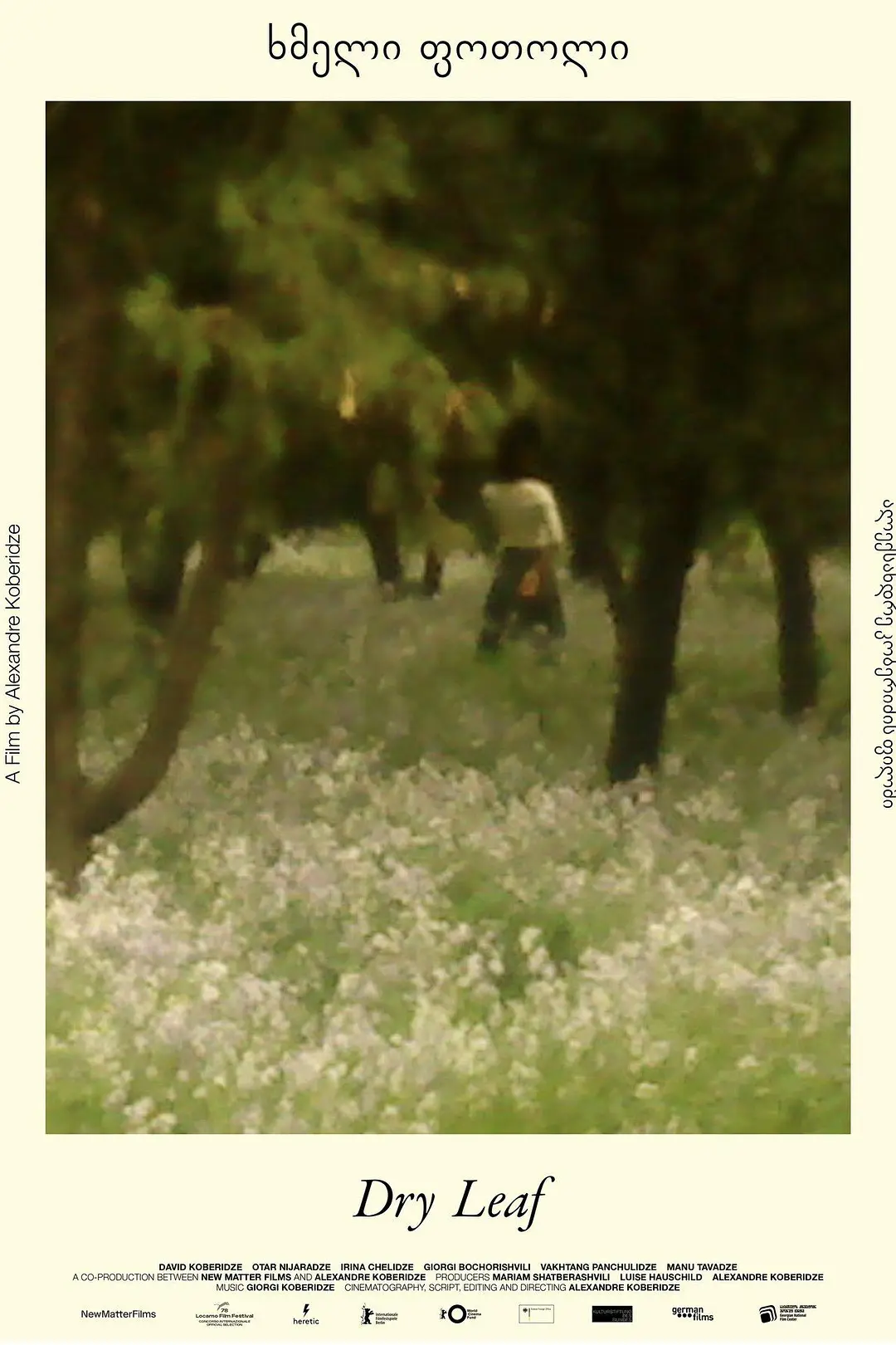 落叶球 (2025) 格鲁吉亚剧情电影 夸克网盘高清资源下载-豆荚盘影视资源站