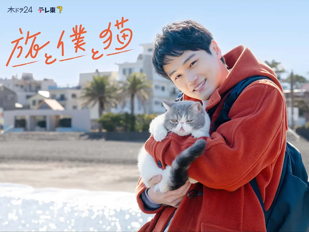 旅行和我和猫 (2026) 日剧 夸克网盘1080P高清资源下载-豆荚盘影视资源站