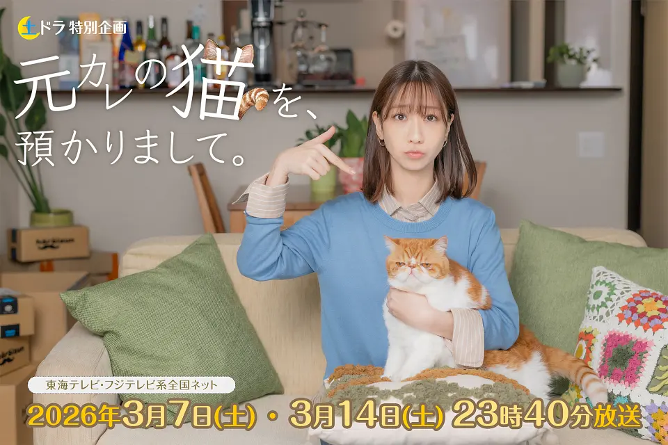 我收留了前男友的猫 (2026) 日剧 夸克网盘/百度网盘资源下载-豆荚盘影视资源站