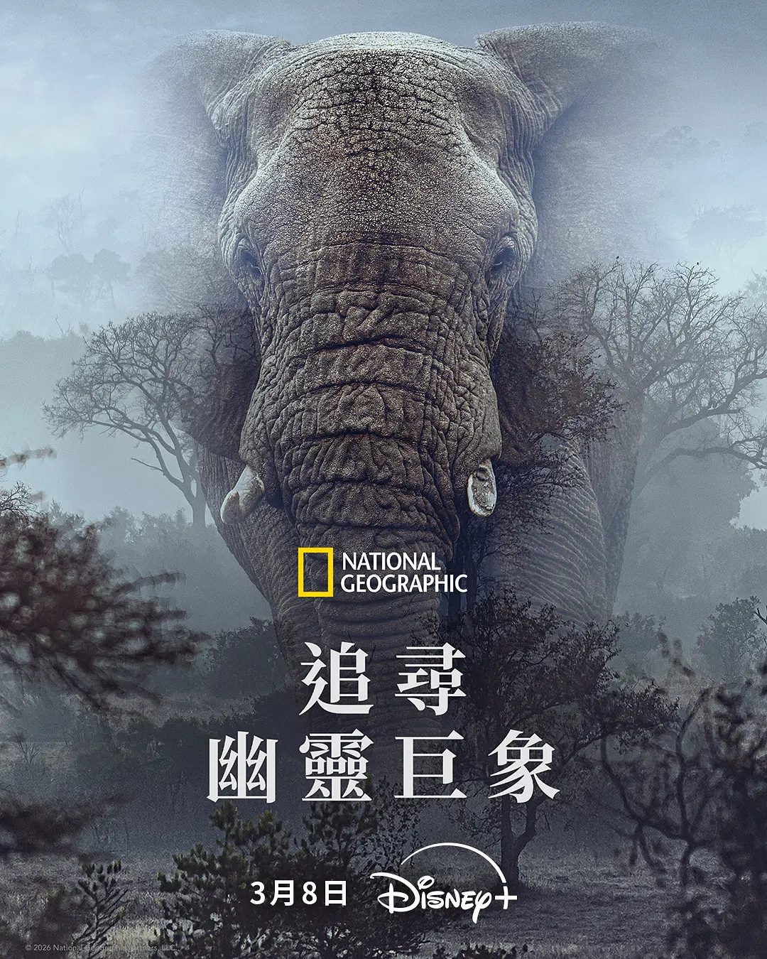 追寻幽灵大象 (2025) 美国纪录片 夸克网盘/百度网盘高清资源下载-豆荚盘影视资源站