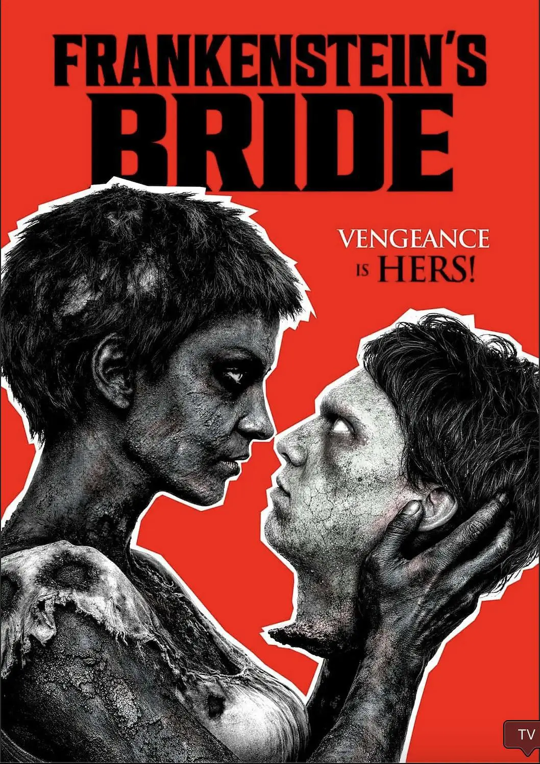 弗兰肯斯坦的新娘(2026) 美国恐怖片 夸克网盘1080P高清资源下载-豆荚盘影视资源站