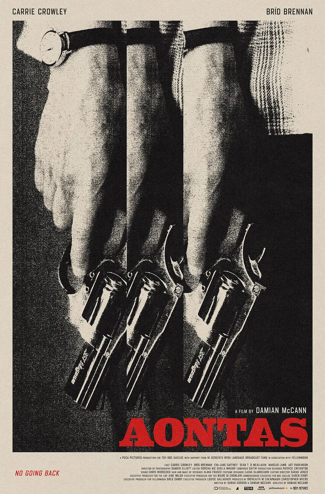 挫败的人生劫案 (2025) 爱尔兰惊悚片 夸克网盘/百度网盘资源下载-豆荚盘影视资源站