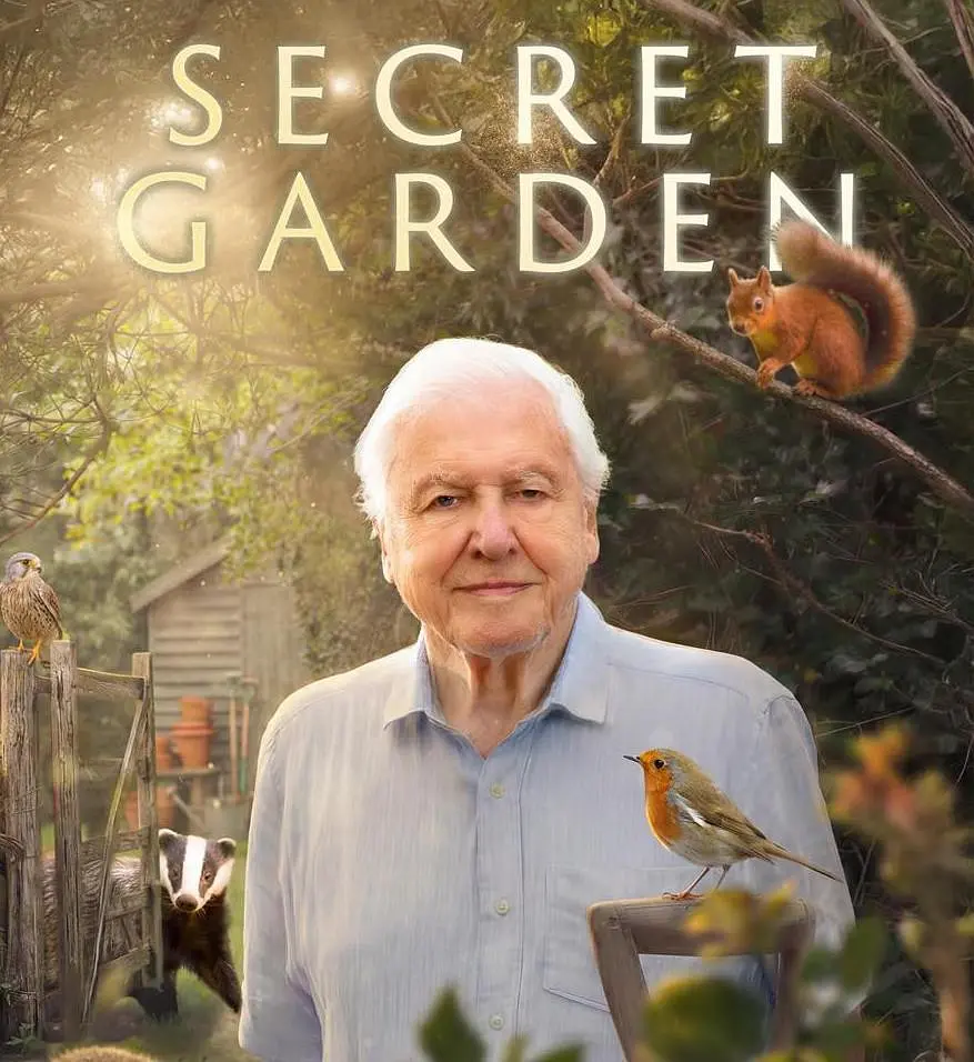 后院里的秘密生物 (2026) 英国记录片 夸克网盘/百度网盘资源下载-豆荚盘影视资源站