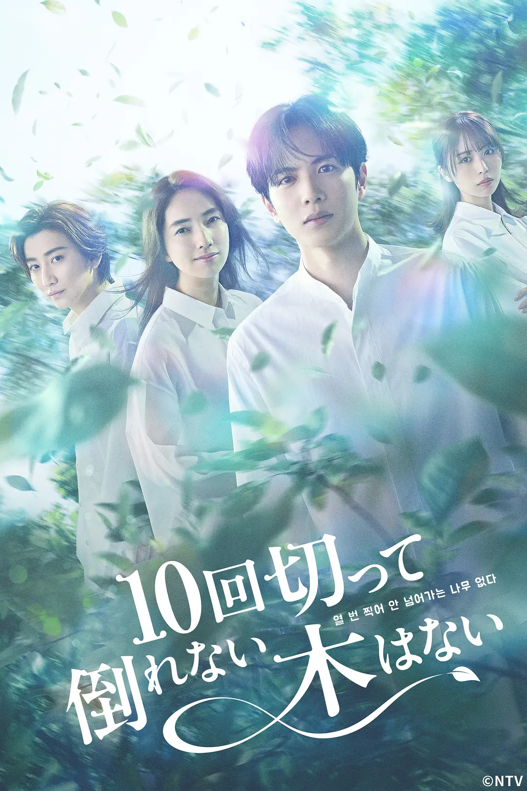 没有砍十次还不倒的树 (2026) 日剧 夸克网盘/百度网盘资源下载-豆荚盘影视资源站