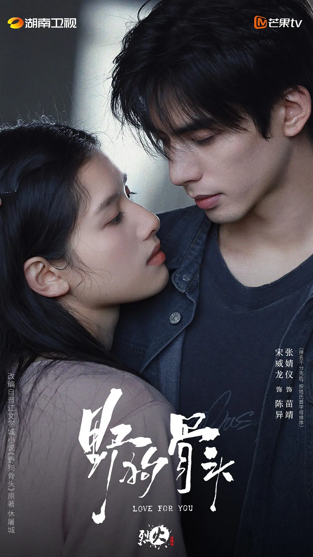 野狗骨头 (2026) 国剧 [夸克/百度/迅雷]网盘4K资源下载-豆荚盘影视资源站
