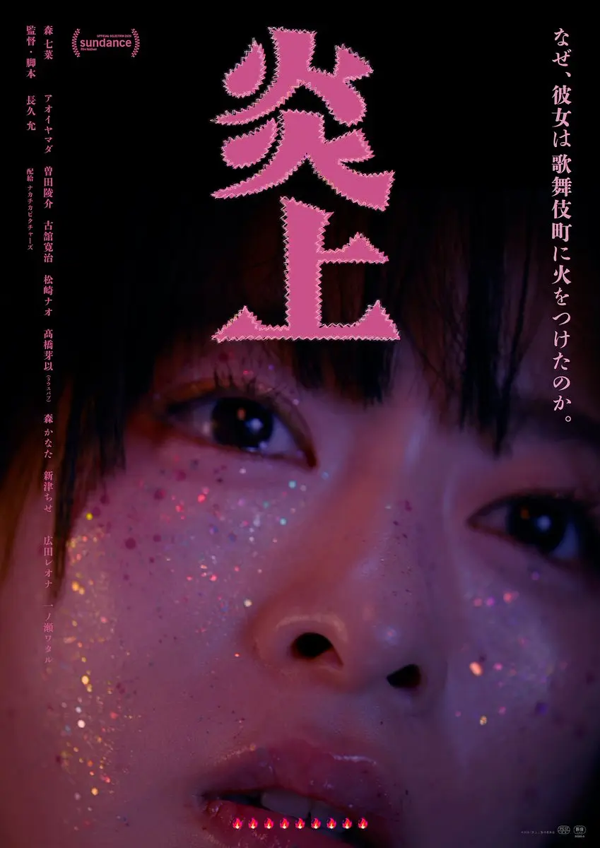 炎上 (2026) 日本剧情片 夸克网盘/百度网盘资源下载